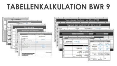 Tabellenkalkulation BWR 9 Schullizenz 