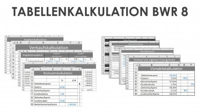 Tabellenkalkulation BWR 8 Schullizenz 