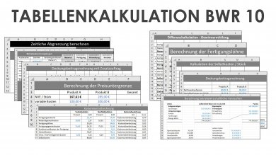 Tabellenkalkulation BWR 10 Schullizenz 