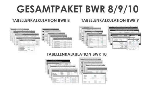 Gesamtpaket Tabellenkalkulation BWR 8/9/10 Einzellizenz 